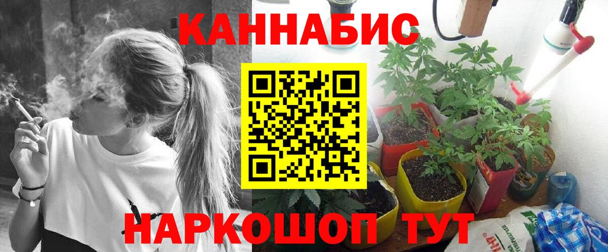 Бошки Шишки ГИДРОПОН  Марихуана Bruce Banner  Бошки Шишки White Widow  Калининград  Вход с VPN 